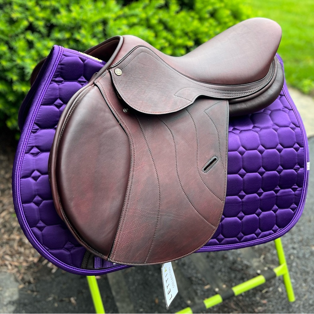 Lettia Infinity Collection All Purpose Saddle Pad